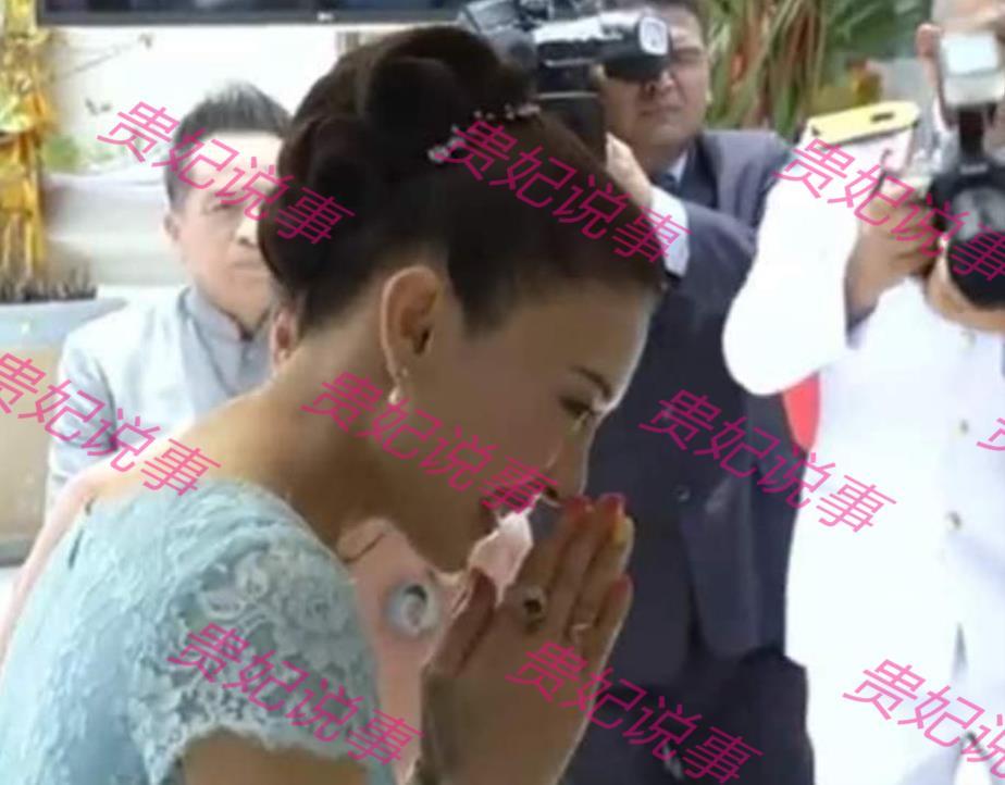 西拉米的日常趣事，友情温暖与陪伴的最新篇章
