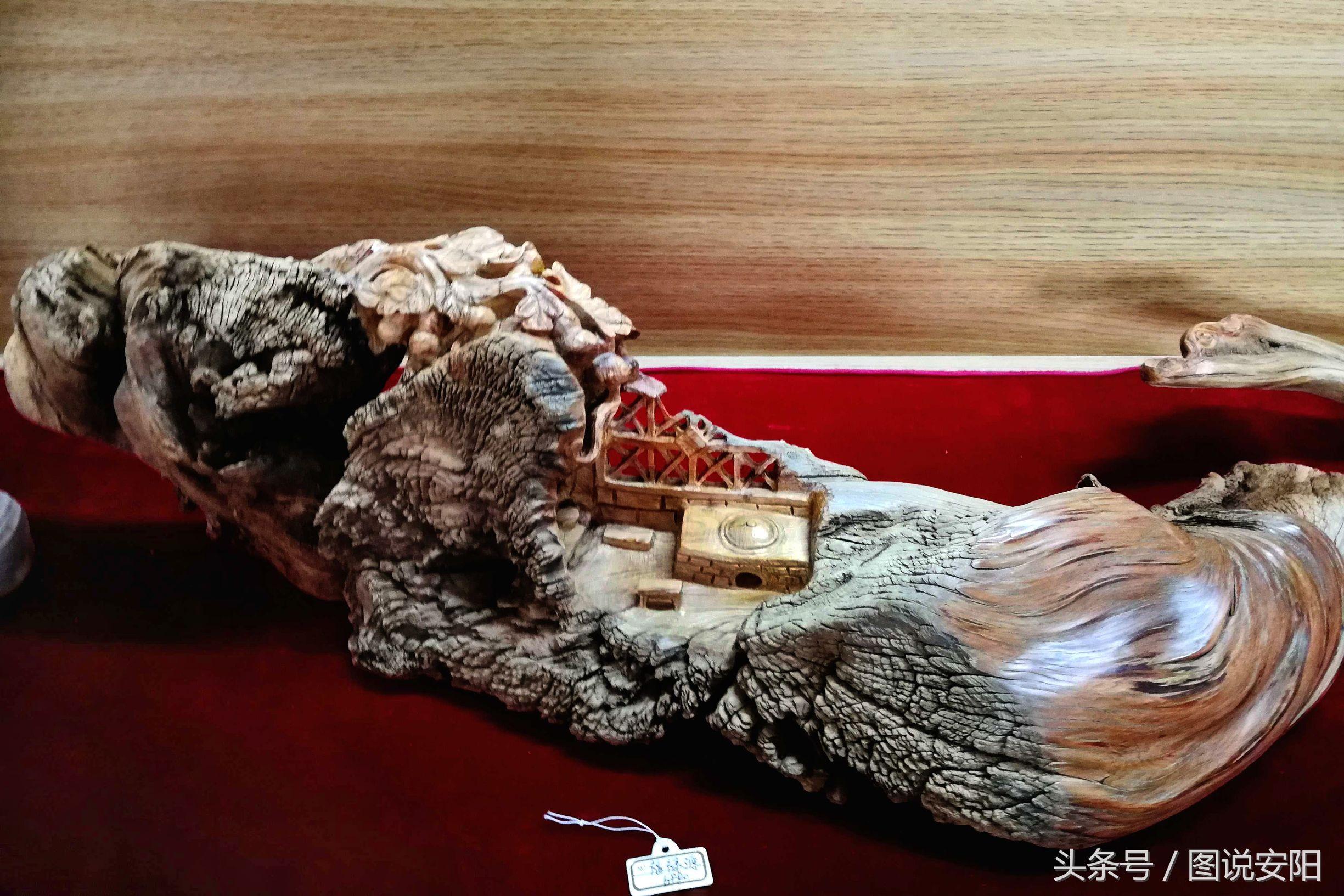 河南最新老虎探寻，中原猛兽的魅力风采